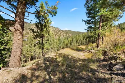 Lot 83 Conifer Drive, Evergreen, CO 80439 - Photo 21