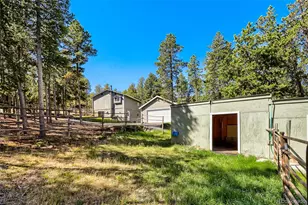 31645 Griffin Dr, Conifer, CO 80433 - Photo 23