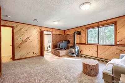 31645 Griffin Drive, Conifer, CO 80433 - Photo 13
