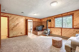 31645 Griffin Dr, Conifer, CO 80433 - Photo 13