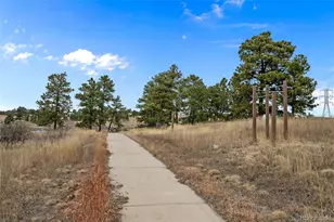 11046 Callaway Rd, Parker, CO 80138 - Photo 43