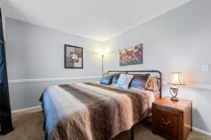 11046 Callaway Rd, Parker, CO 80138 - Photo 27