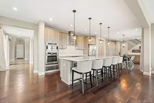 237 Maplehurst Dr, Highlands Ranch, CO 80126 - Photo 17