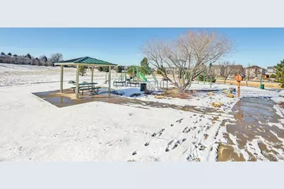 11641 Colony Loop, Parker, CO 80138 - Photo 45