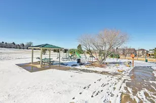 11641 Colony Loop, Parker, CO 80138 - Photo 45