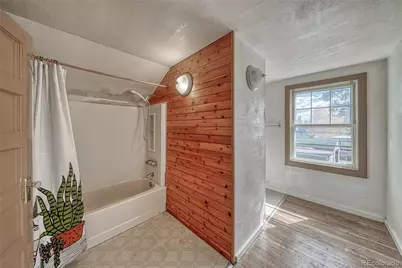 1705 Delane Street, Leadville, CO 80461 - Photo 39