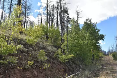 Soubry Pl, Fort Garland, CO 81133 - Photo 15