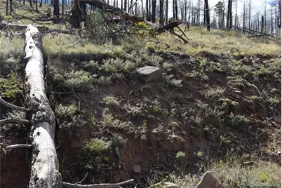 Soubry Pl, Fort Garland, CO 81133 - Photo 13