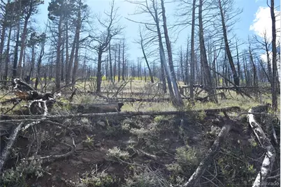 Soubry Pl, Fort Garland, CO 81133 - Photo 3