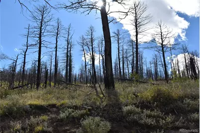 Soubry Pl, Fort Garland, CO 81133 - Photo 7