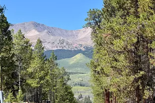 643 Spruce Dr, Twin Lakes, CO 80461 - Photo 35
