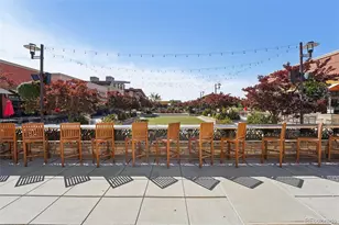 793 Robert St, Longmont, CO 80503 - Photo 35