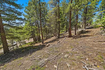 0 Skunk Alley, Evergreen, CO 80439 - Photo 7