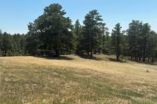 24074 Emerald Trail, Deer Trail, CO 80105 - Photo 21