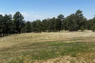 24074 Emerald Trail, Deer Trail, CO 80105 - Photo 19