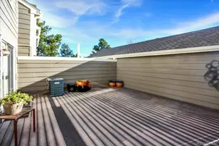 7166 E Briarwood Dr, Centennial, CO 80112 - Photo 29