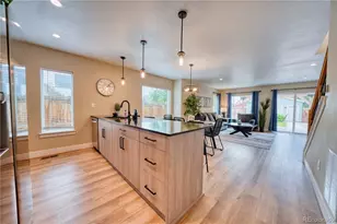 829 Kalamath St, Denver, CO 80204 - Photo 15