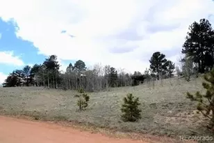 001 Hidden Valley, Florissant, CO 80816 - Photo 5