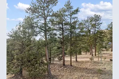 263 Valley Drive, Lake George, CO 80827 - Photo 19