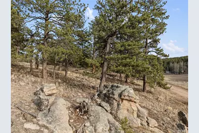 263 Valley Drive, Lake George, CO 80827 - Photo 5