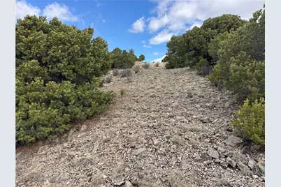 Lot 117 Lautenburg Drive, Fort Garland, CO 81133 - Photo 21