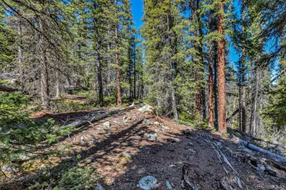 880 Gold Pan Lane, Fairplay, CO 80440 - Photo 15