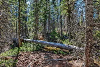 880 Gold Pan Lane, Fairplay, CO 80440 - Photo 25