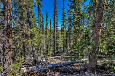 880 Gold Pan Lane, Fairplay, CO 80440 - Photo 9