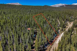 880 Gold Pan Ln, Fairplay, CO 80440 - Photo 1
