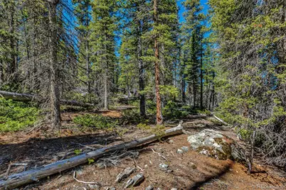 880 Gold Pan Lane, Fairplay, CO 80440 - Photo 7