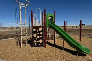 5459 Westin Hls Dr, Elizabeth, CO 80107 - Photo 27