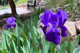 34498 Forest Estates Rd, Evergreen, CO 80439 - Photo 43