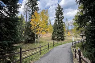 34498 Forest Estates Rd, Evergreen, CO 80439 - Photo 5