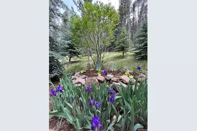 34498 Forest Estates Road, Evergreen, CO 80439 - Photo 47