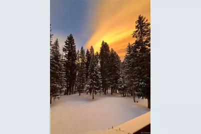 34498 Forest Estates Road, Evergreen, CO 80439 - Photo 49