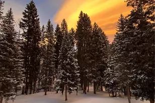 34498 Forest Estates Rd, Evergreen, CO 80439 - Photo 49