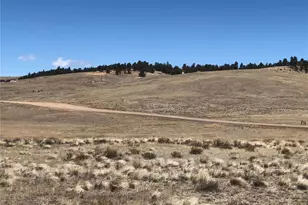 121 Commanche Trail, Hartsel, CO 80449 - Photo 1