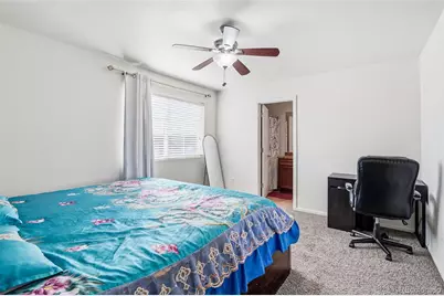 20691 Randolph Place, Denver, CO 80249 - Photo 19
