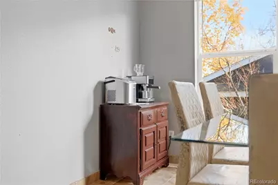 8458 Jason Court, Denver, CO 80260 - Photo 9