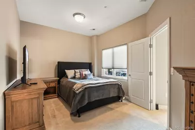 620 Summer Mist Circle, Castle Rock, CO 80104 - Photo 33