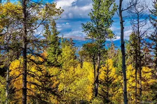 913 Longbow Dr, Como, CO 80432 - Photo 43