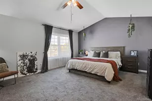 20012 Briarwood Ct, Parker, CO 80138 - Photo 21