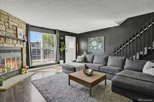 20012 Briarwood Ct, Parker, CO 80138 - Photo 11