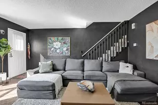 20012 Briarwood Ct, Parker, CO 80138 - Photo 9