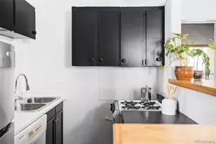 3733 N Franklin St, Denver, CO 80205 - Photo 21