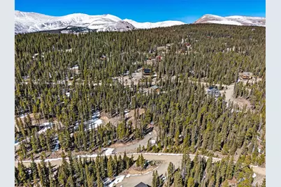 313 Porcupine Road, Fairplay, CO 80440 - Photo 9