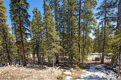 313 Porcupine Road, Fairplay, CO 80440 - Photo 21
