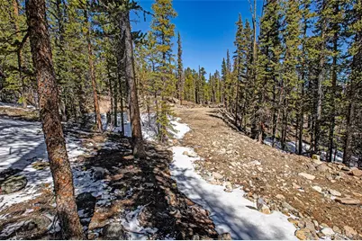 313 Porcupine Road, Fairplay, CO 80440 - Photo 23