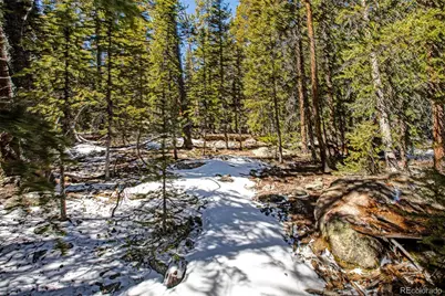 313 Porcupine Road, Fairplay, CO 80440 - Photo 25