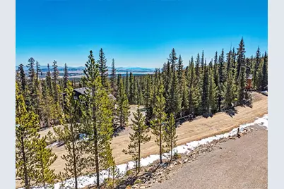 313 Porcupine Road, Fairplay, CO 80440 - Photo 3